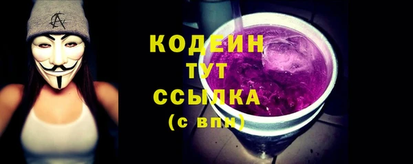 дурь Коряжма