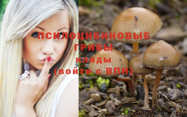 кристаллы Корсаков